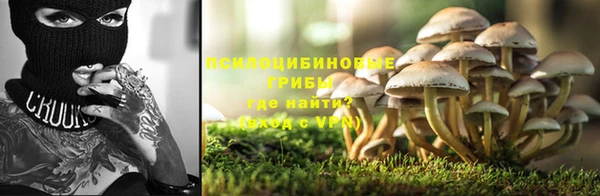 apvp Надым