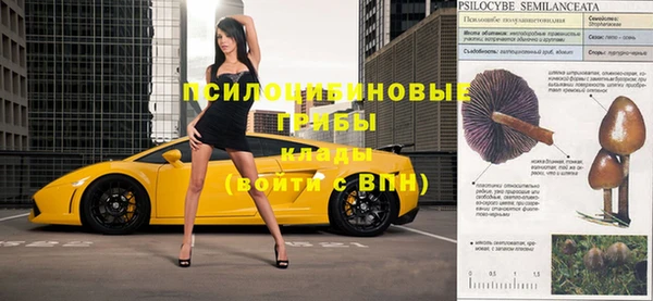 apvp Надым