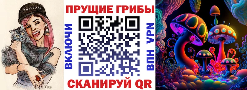 Галлюциногенные грибы MAGIC MUSHROOMS  где купить наркотик  Пугачёв 